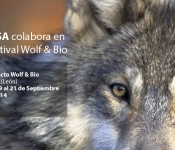 Diseño gráfico para campañas de Zeiss Excopesa